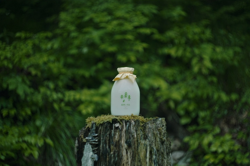 森林ノ牧場の風景